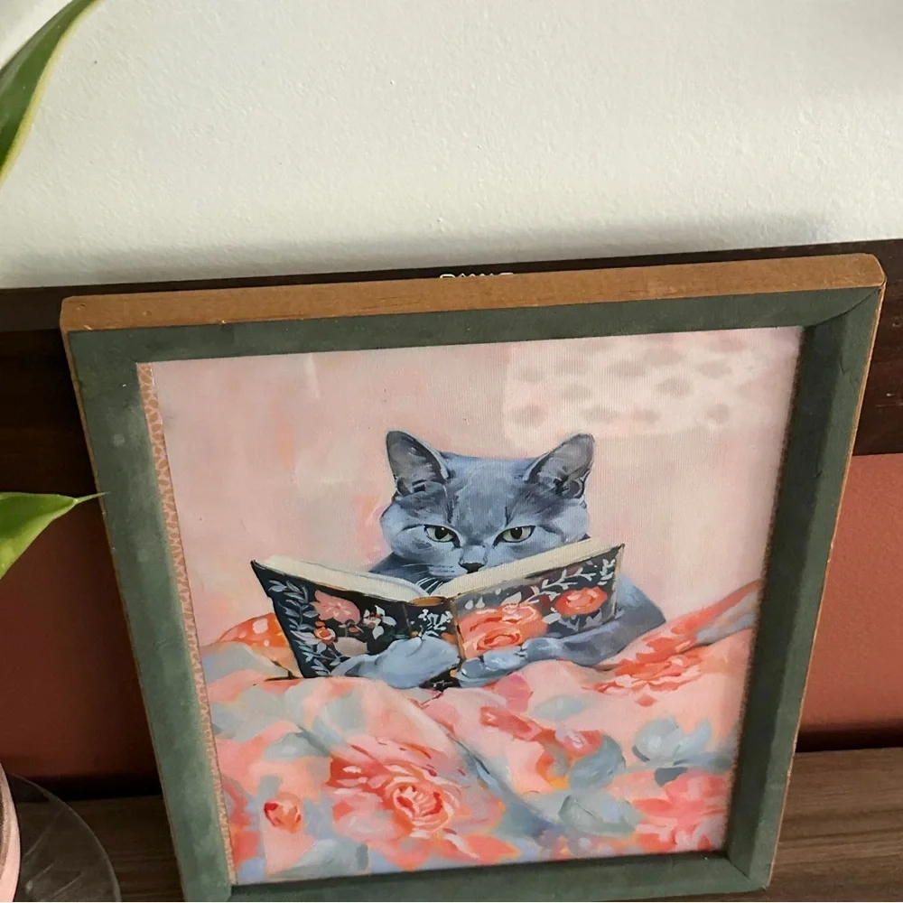 N/A gray cat